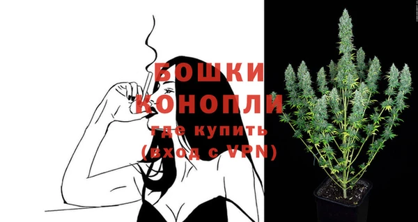 крисы Медвежьегорск