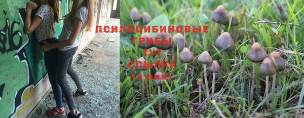 трава Балахна