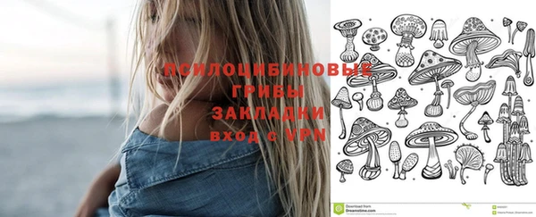 трава Балабаново