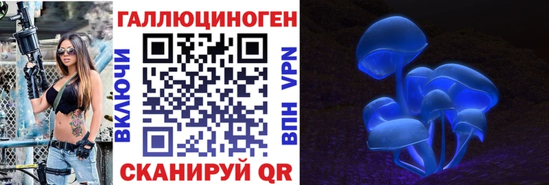 MEGA онион  где купить наркотик  Жуков  Галлюциногенные грибы Cubensis 