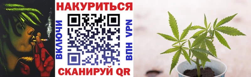 дарнет шоп  Жуков  Бошки Шишки конопля 